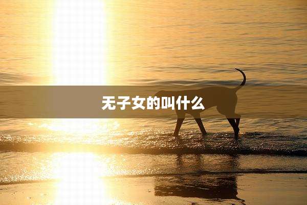 无子女的叫什么