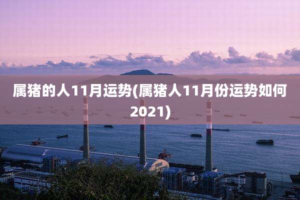 属猪的人11月运势(属猪人11月份运势如何2021)