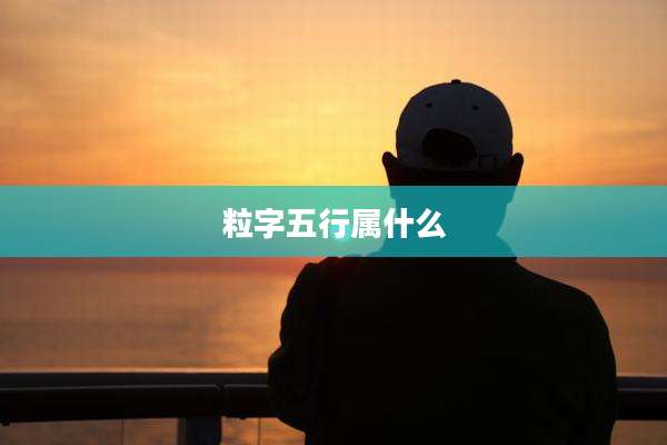 粒字五行属什么