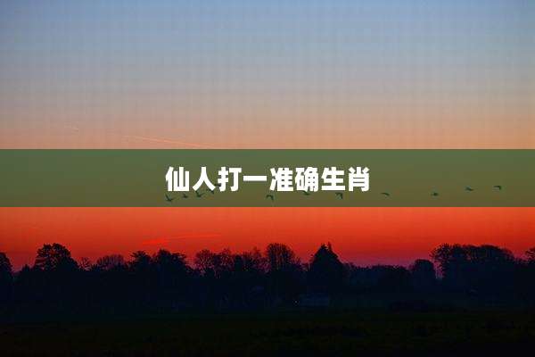 仙人打一准确生肖