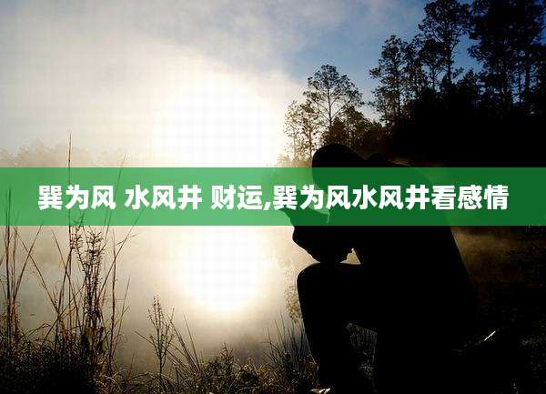 巽为风 水风井 财运,巽为风水风井看感情