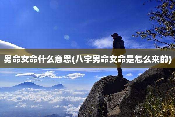 男命女命什么意思(八字男命女命是怎么来的)