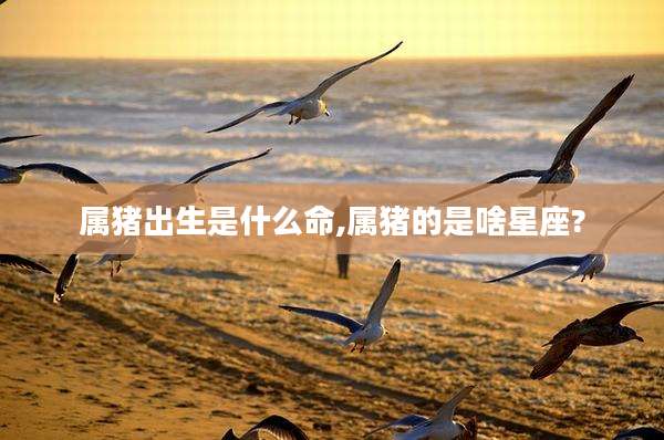 属猪出生是什么命,属猪的是啥星座?