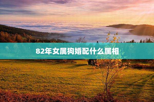 82年女属狗婚配什么属相