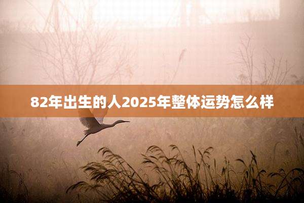 82年出生的人2025年整体运势怎么样