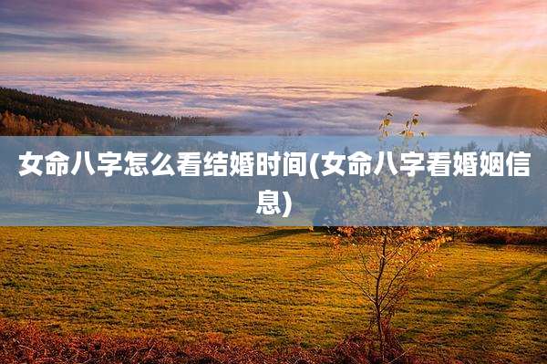 女命八字怎么看结婚时间(女命八字看婚姻信息)