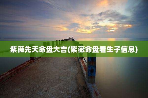 紫薇先天命盘大吉(紫薇命盘看生子信息)