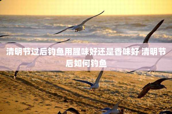 清明节过后钓鱼用腥味好还是香味好 清明节后如何钓鱼