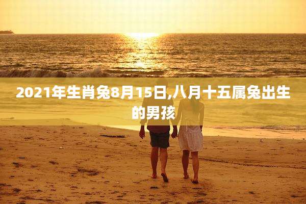 2021年生肖兔8月15日,八月十五属兔出生的男孩