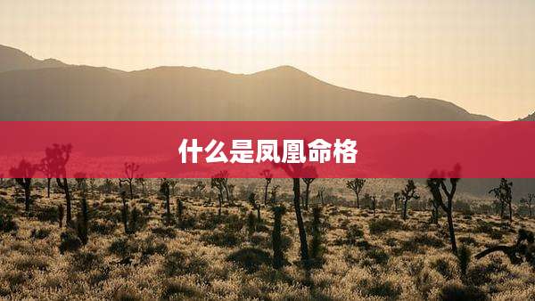 什么是凤凰命格