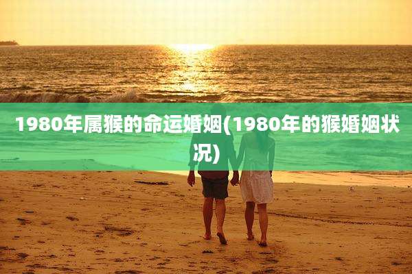 1980年属猴的命运婚姻(1980年的猴婚姻状况)