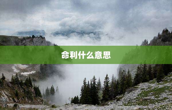 命利什么意思