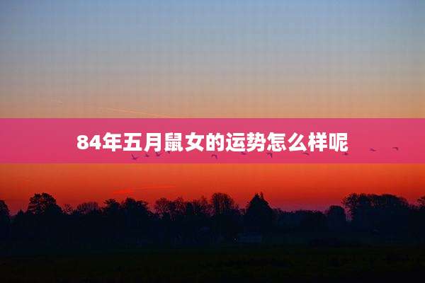 84年五月鼠女的运势怎么样呢