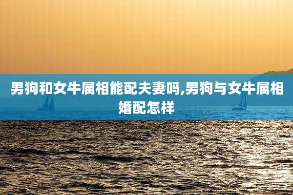 男狗和女牛属相能配夫妻吗,男狗与女牛属相婚配怎样