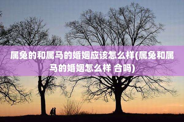 属兔的和属马的婚姻应该怎么样(属兔和属马的婚姻怎么样 合吗)
