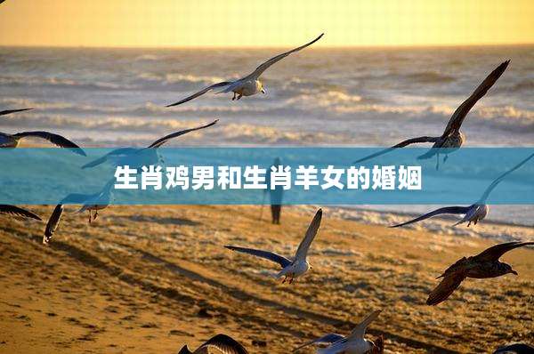 生肖鸡男和生肖羊女的婚姻