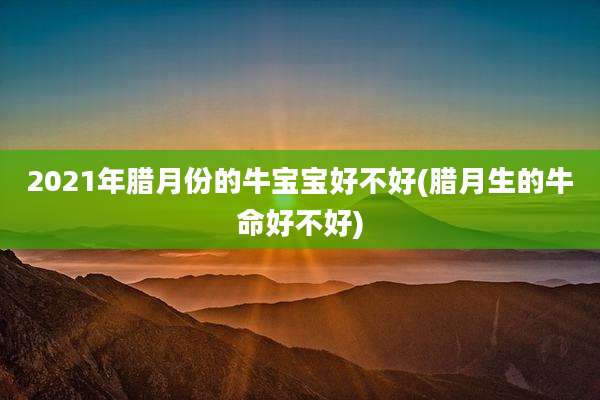 2021年腊月份的牛宝宝好不好(腊月生的牛命好不好)