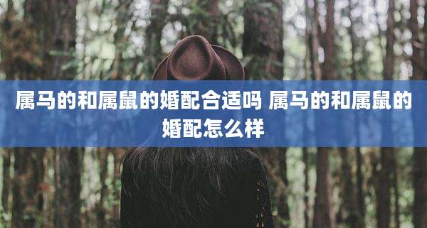 属马的和属鼠的婚配合适吗 属马的和属鼠的婚配怎么样