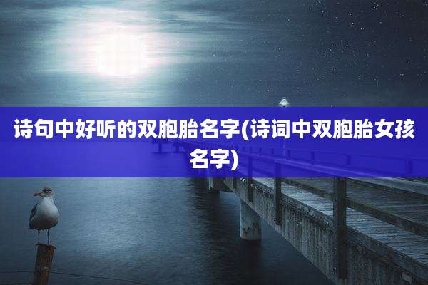 诗句中好听的双胞胎名字(诗词中双胞胎女孩名字)
