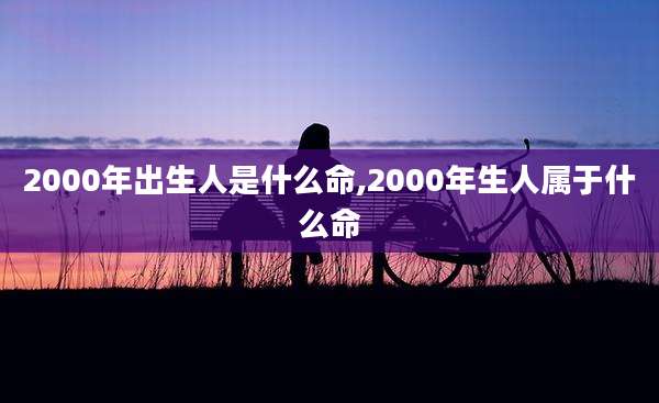 2000年出生人是什么命,2000年生人属于什么命