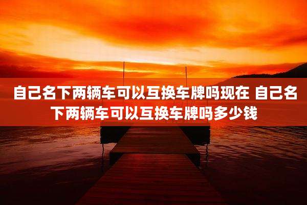 自己名下两辆车可以互换车牌吗现在 自己名下两辆车可以互换车牌吗多少钱