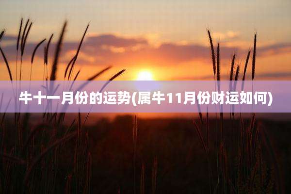 牛十一月份的运势(属牛11月份财运如何)