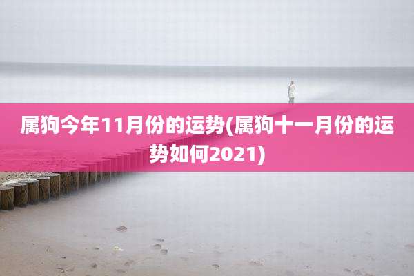 属狗今年11月份的运势(属狗十一月份的运势如何2021)