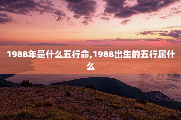 1988年是什么五行命,1988出生的五行属什么