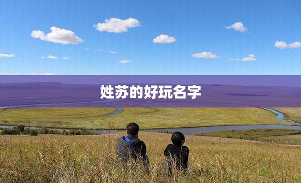 姓苏的好玩名字