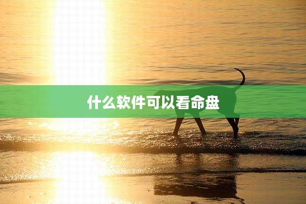 什么软件可以看命盘