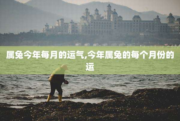属兔今年每月的运气,今年属兔的每个月份的运