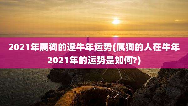 2021年属狗的逢牛年运势(属狗的人在牛年2021年的运势是如何?)