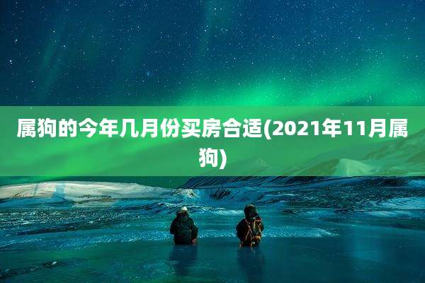 属狗的今年几月份买房合适(2021年11月属狗)