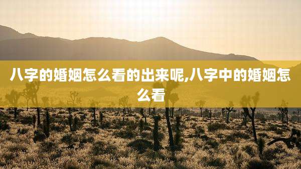 八字的婚姻怎么看的出来呢,八字中的婚姻怎么看