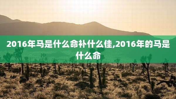 2016年马是什么命补什么佳,2016年的马是什么命