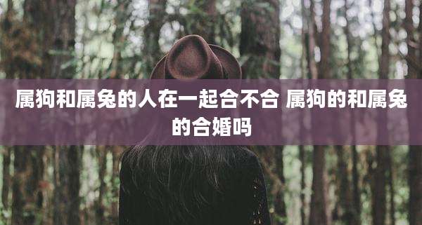 属狗和属兔的人在一起合不合 属狗的和属兔的合婚吗