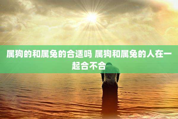 属狗的和属兔的合适吗 属狗和属兔的人在一起合不合