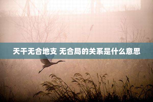天干无合地支 无合局的关系是什么意思