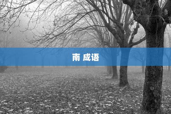南 成语