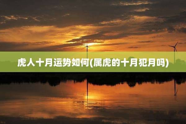 虎人十月运势如何(属虎的十月犯月吗)