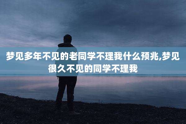 梦见多年不见的老同学不理我什么预兆,梦见很久不见的同学不理我