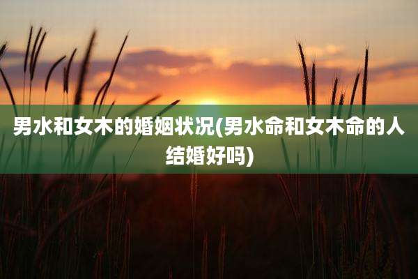 男水和女木的婚姻状况(男水命和女木命的人结婚好吗)