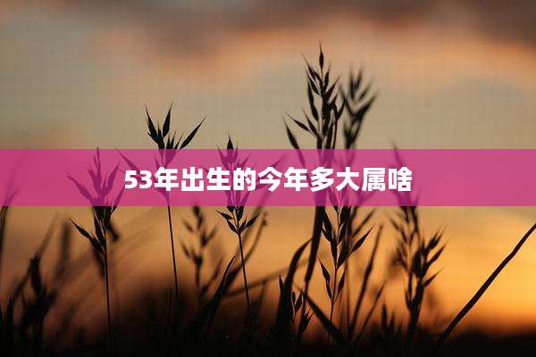 53年出生的今年多大属啥