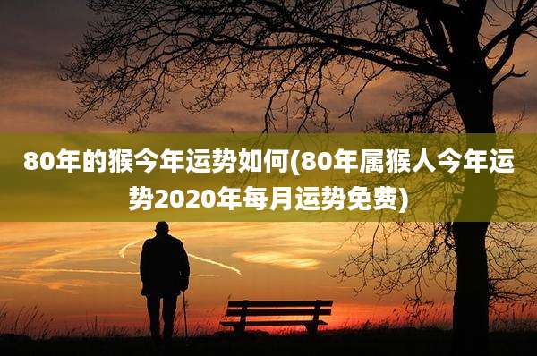 80年的猴今年运势如何(80年属猴人今年运势2020年每月运势免费)