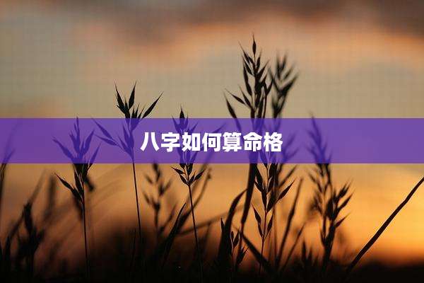 八字如何算命格