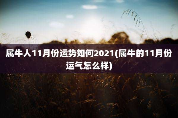 属牛人11月份运势如何2021(属牛的11月份运气怎么样)