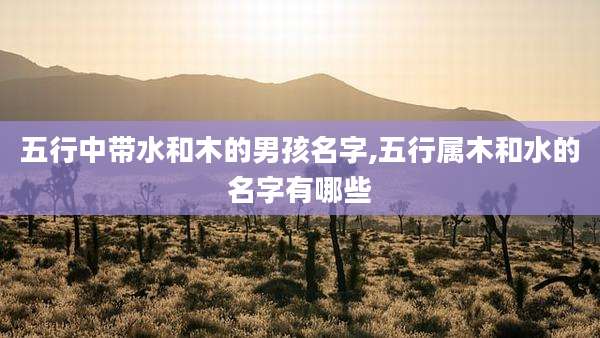 五行中带水和木的男孩名字,五行属木和水的名字有哪些