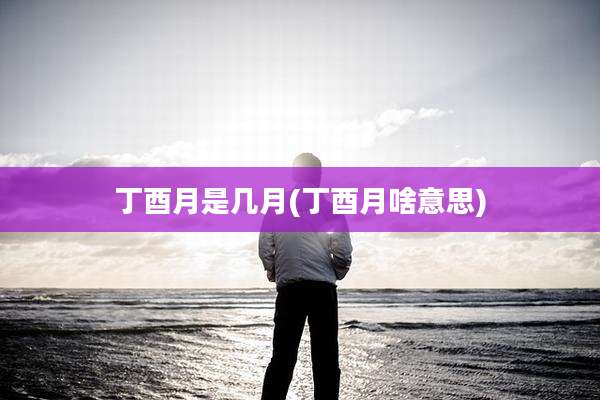 丁酉月是几月(丁酉月啥意思)