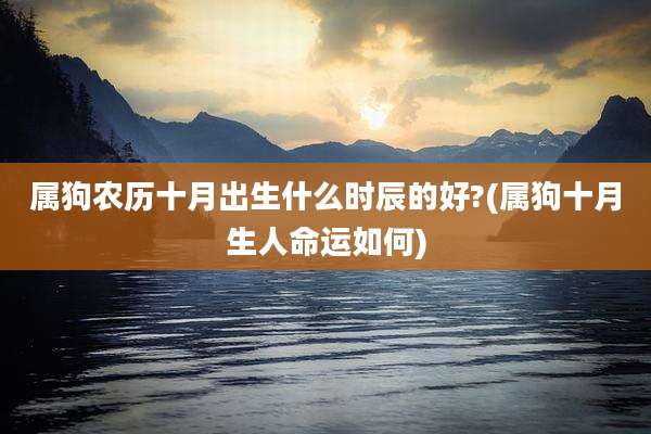 属狗农历十月出生什么时辰的好?(属狗十月生人命运如何)