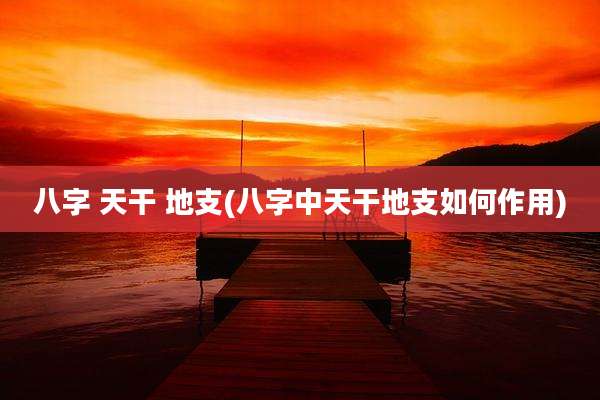 八字 天干 地支(八字中天干地支如何作用)